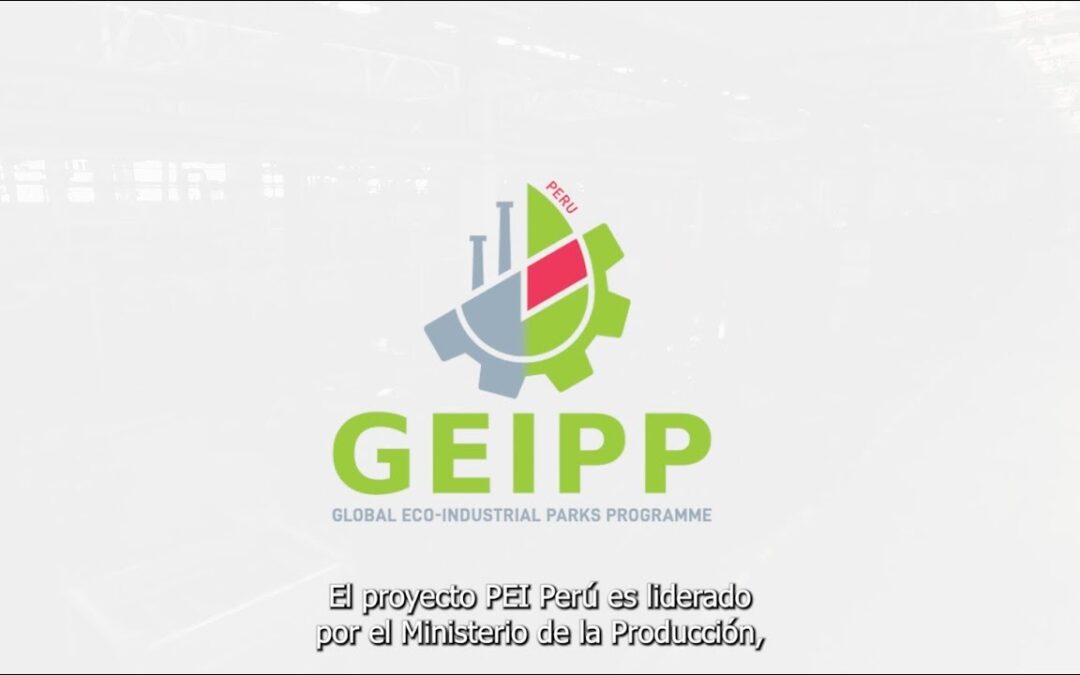 ¿Qué es PEI Perú?