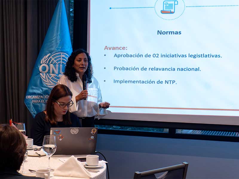 High Level Committee: impulsando los Parques Eco-Industriales en el Perú