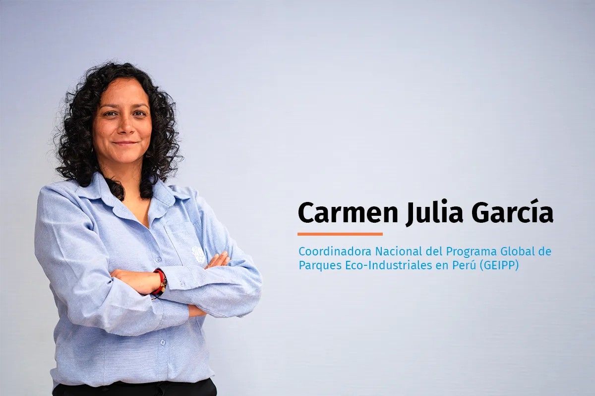 Carmen Julia García Parques Eco-Industriales y ciudades sostenibles. Eco-Industrial Parks and sustainable cities