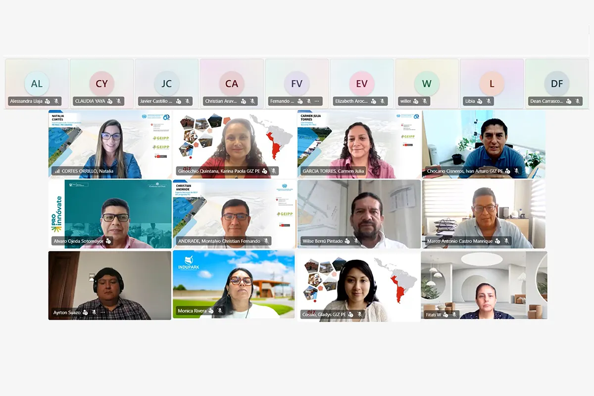 Taller de financiamiento y alianzas Taller virtual de PEI Perú sobre financiamiento para parques industriales y alianzas estratégicas