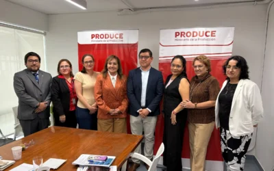 Evaluación de espacios industriales: capacitación al PNDP