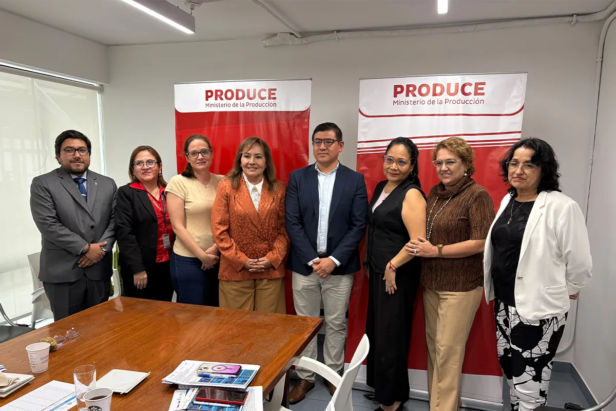 Evaluación de espacios industriales: capacitación al PNDP Capacitación de PEI Perú al PNDP sobre evaluación de espacios industriales