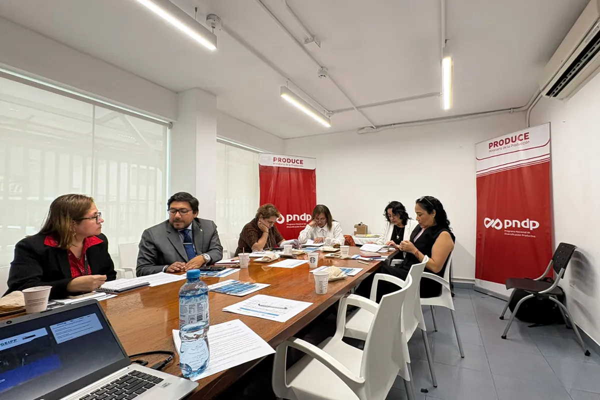 Evaluación de espacios industriales: capacitación al PNDP Capacitación de PEI Perú al PNDP sobre evaluación de espacios industriales
